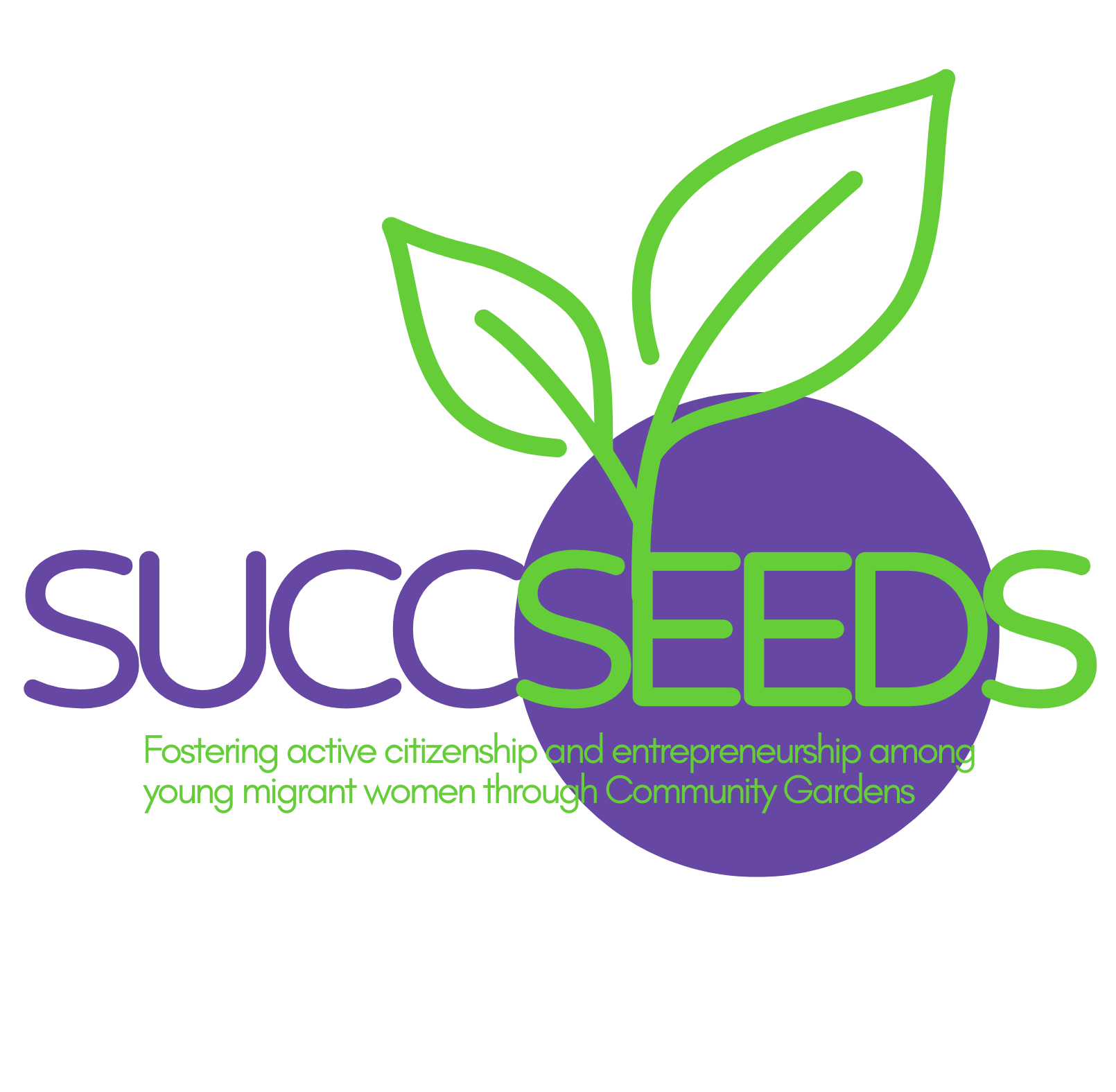 Succseeds